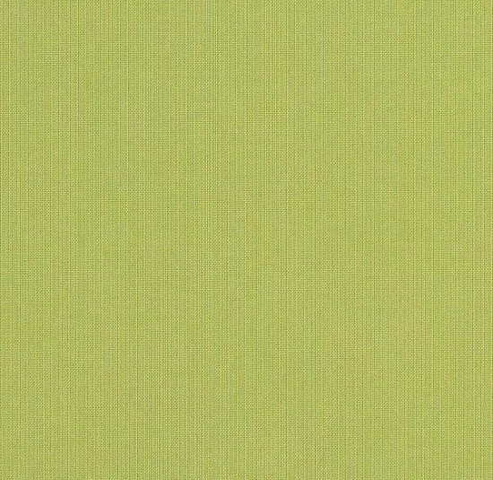 Spectrum Kiwi leather
