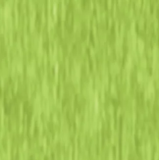 Lime Green color