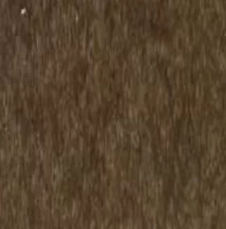 Tudor Brown color