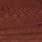 Sassafras stain on Elm
