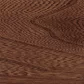 Spring Twig stain on Elm