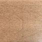 Fossil stain on Brown Maple