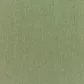 Canvas Fern fabric