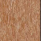 Cedar color