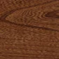 Burnished Honey stain on Elm