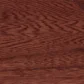 Sassafras stain on Elm