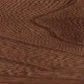 Spring Twig stain on Elm