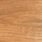 Fossil stain on Hickory