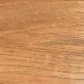 Fossil stain on Hickory