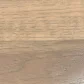 Sand Dollar stain on Hickory