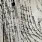 Arrowroot stain on Reclaimed Barnwood