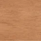 Spiced Apple stain on Maple