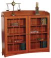 Bryson City Bookcase with Doors