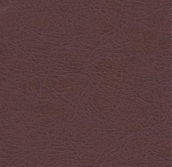 Elderberry leather