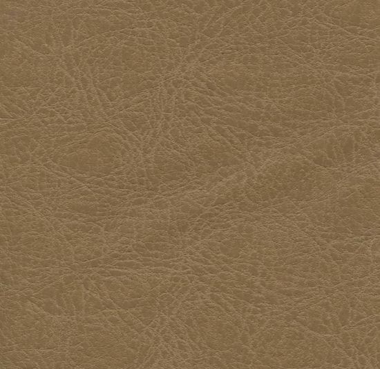 Sepia leather