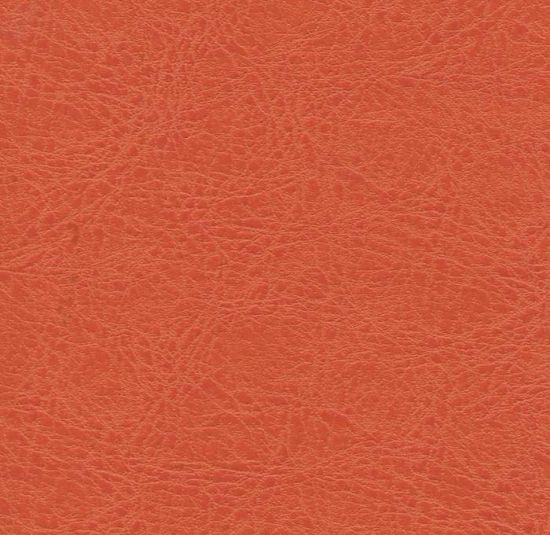 Tiger Lily leather