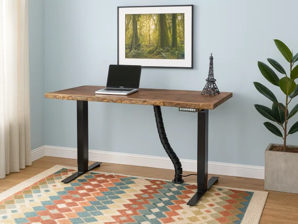 Chadron Adjustable Standing Desk