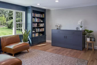 Modern Murphy Cabinet Bed