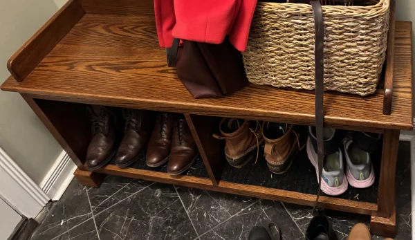Picture of Hudson Casual Storage Bench, reviewed by Justin