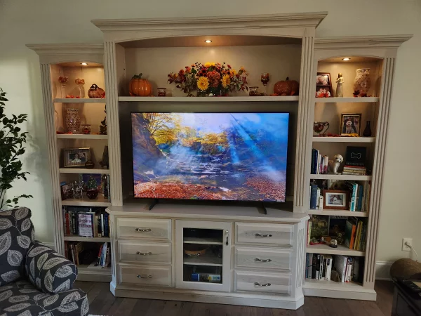 Picture of Our Custom Bookcase, reviewed by Susan U.