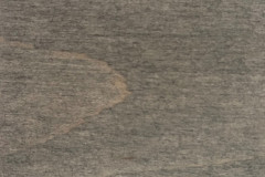Dusty Trail