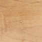 Sanibel stain
