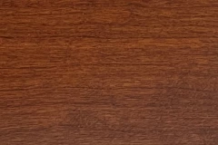 Terra Cotta