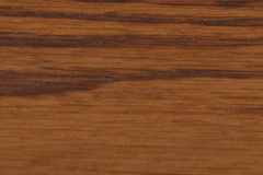 Burnished Honey