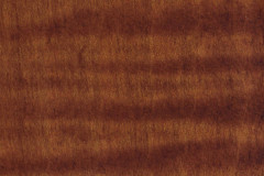 Burnished Honey