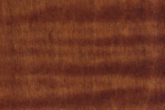 Burnished Honey