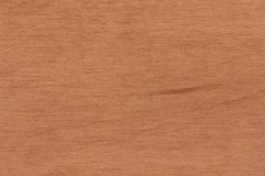Cinnamon Stick