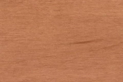 Cinnamon Stick