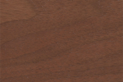 Cinnamon Stick
