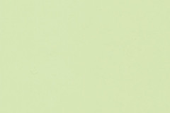 Simply Mint