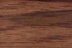 Southern Pecan