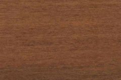 Southern Pecan