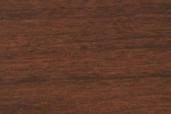 Southern Pecan