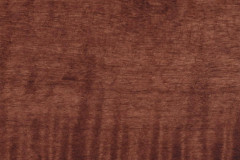 Southern Pecan