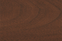 Southern Pecan