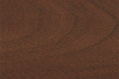 Southern Pecan