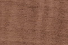 Toasted Russet
