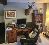 Picture of Alcade Desk and Lakeland Bookcase, reviewed by James