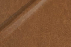 Desert Gold