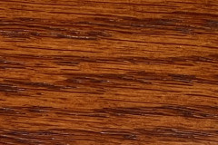 Terra Cotta
