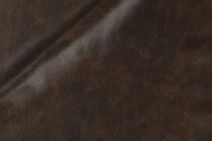 Outrider
