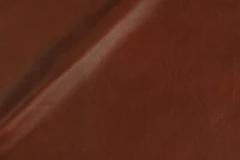 Paprika