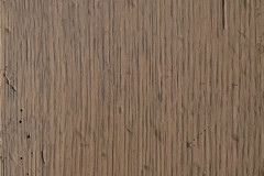 Timber Wolf