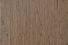 Timber Wolf
