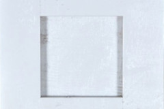 Tundra