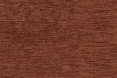 Southern Pecan